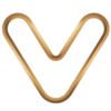 Veo4 Studio logo